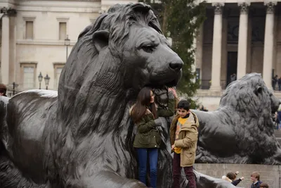 DSC_5773 (Large).JPG